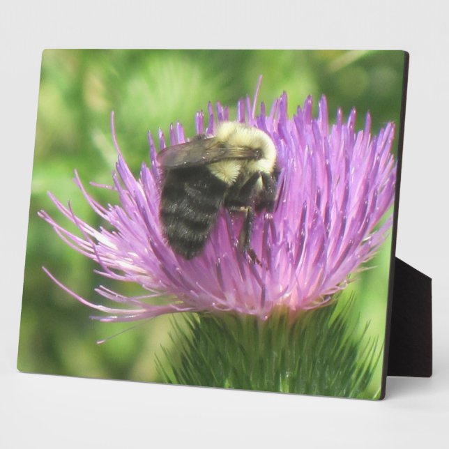 Bee & Thistle Plaque (Side)