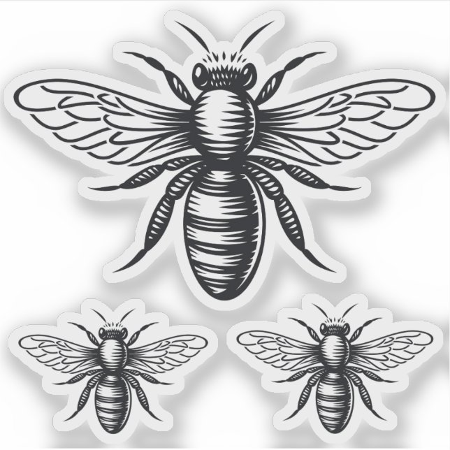  Bee vinyl stickers (Front)