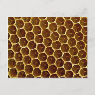 Bee wax comb postcard