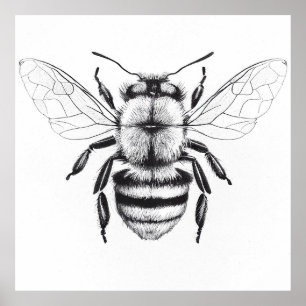 Bee Wild Nature Animal Illustration Art Drawing Poster