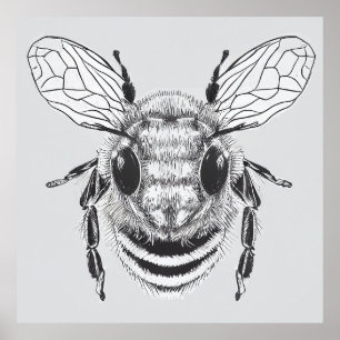 Bee Wild Nature Animal Illustration Art Drawing Poster