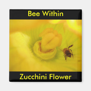 Bee Within Zucchini Flower Magnet