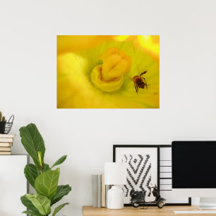 Bee Within Zucchini Flower Print