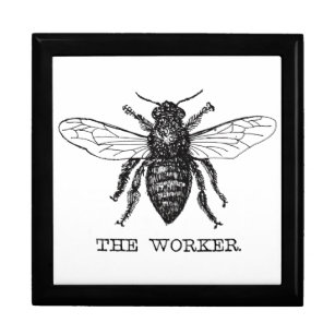 Bee Worker Honey Black Bumblebee Gift Box