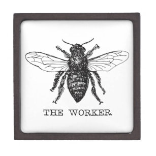 Bee Worker Honey Black Bumblebee Jewellery Box