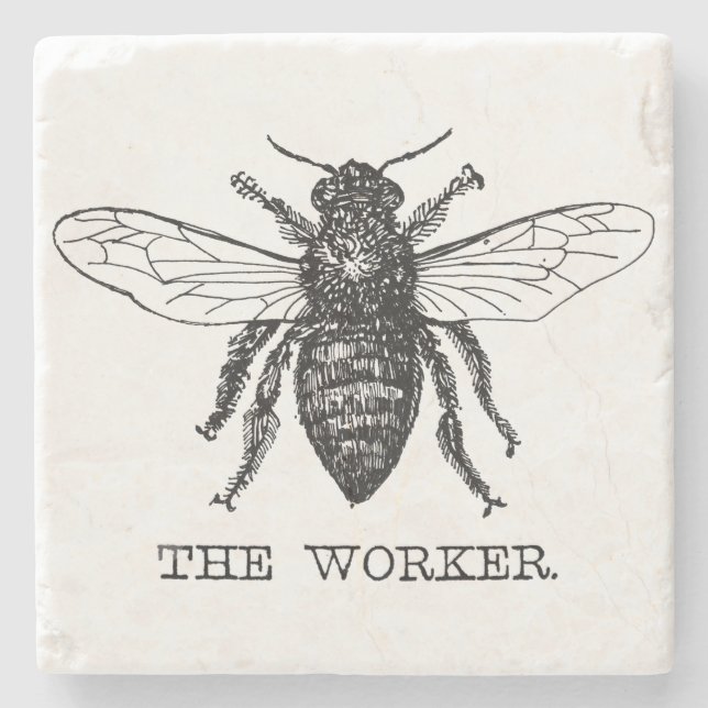 Bee Worker Honey Black Bumblebee Stone Coaster (Front)