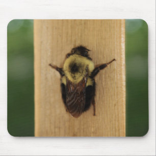 Bee-zilla Mouse Pad