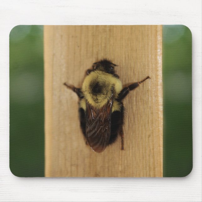 Bee-zilla Mouse Pad (Front)