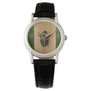 Bee-zilla Watch