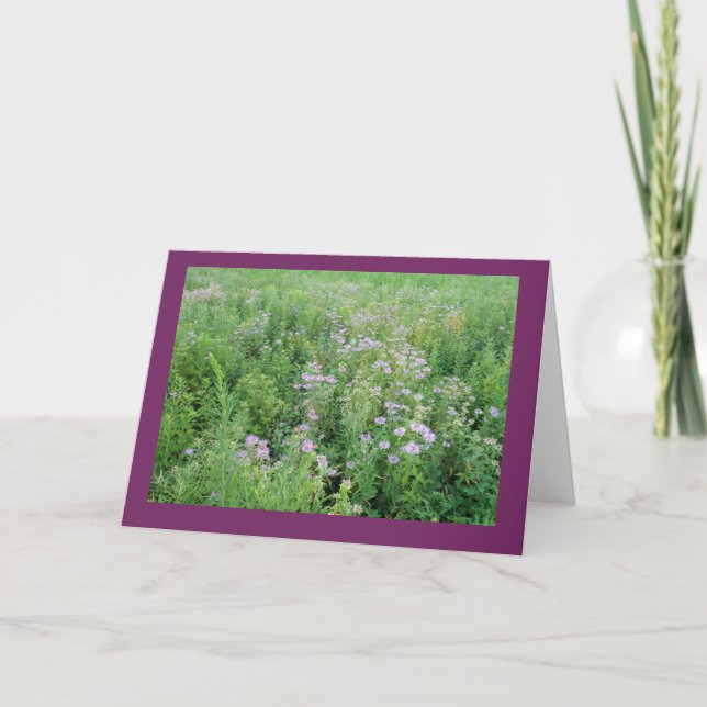 Beebalm in Prairie Garden Blank Note Card (Front)