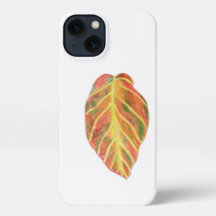 Beech leaf in fall