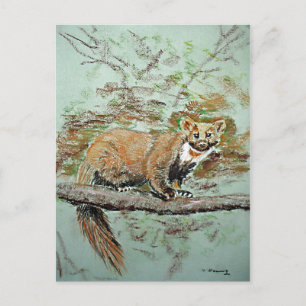 Beech marten postcard