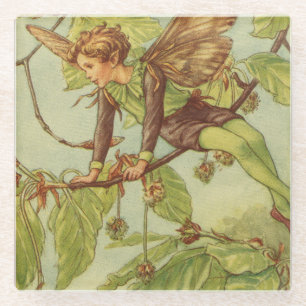 Beech Tree Fairy by Vision Studio Glass Coaster