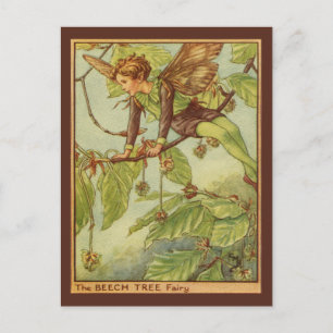 Beech Tree Fairy by Vision Studio Postcard