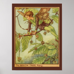 Beech Tree Fairy by Vision Studio Poster