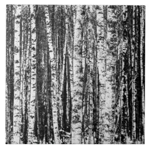 Beech Trees, White and Charcoal Grey / Grey Ceramic Tile