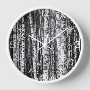 Beech Trees, White and Grey Clock