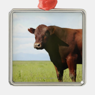 Beef cow in field metal tree decoration