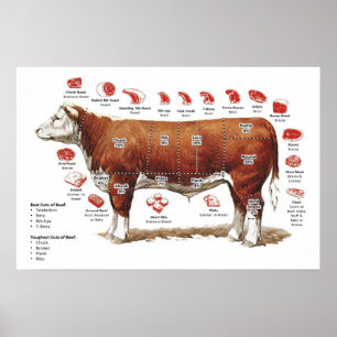 Beef Cuts Chart Poster