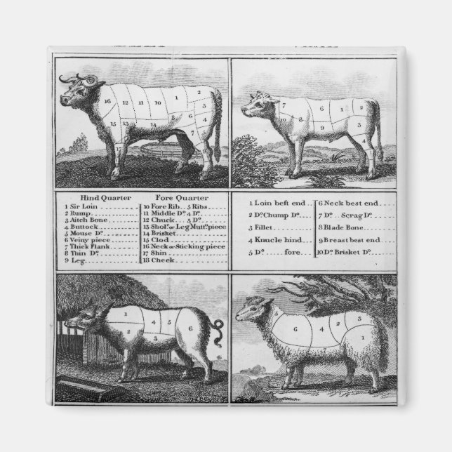 Beef, Veal, Pork, and Mutton Cuts, 1802 Magnet (Front)