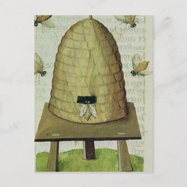 Beehive and Bees Postcard (Front)