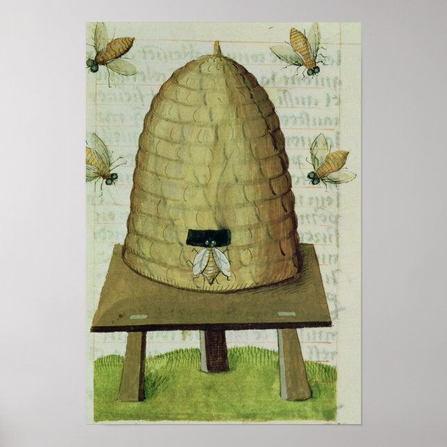 Beehive and Bees Poster (Front)
