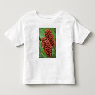 Beehive Ginger, Zingiber spectabile), Toddler T-Shirt