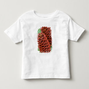 Beehive Ginger, Zingiber spectabile), Toddler T-Shirt