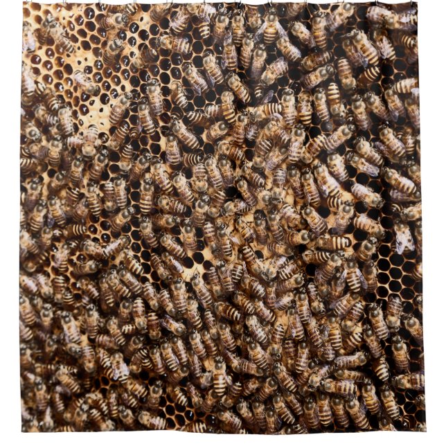 BEEHIVE SHOWER CURTAIN (Front)