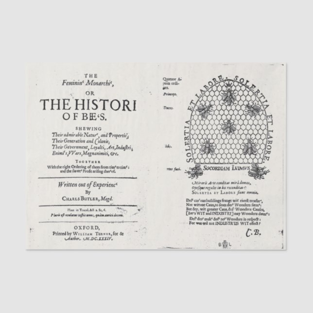 Beekeeping Queen Bee 1609 Publication Tissue Paper (Front)