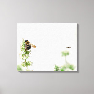 Beeline Canvas Print