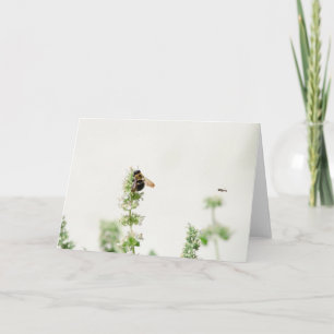 Beeline Card