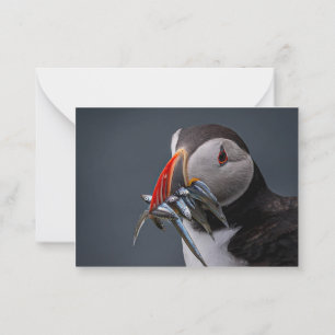 Been fishing card