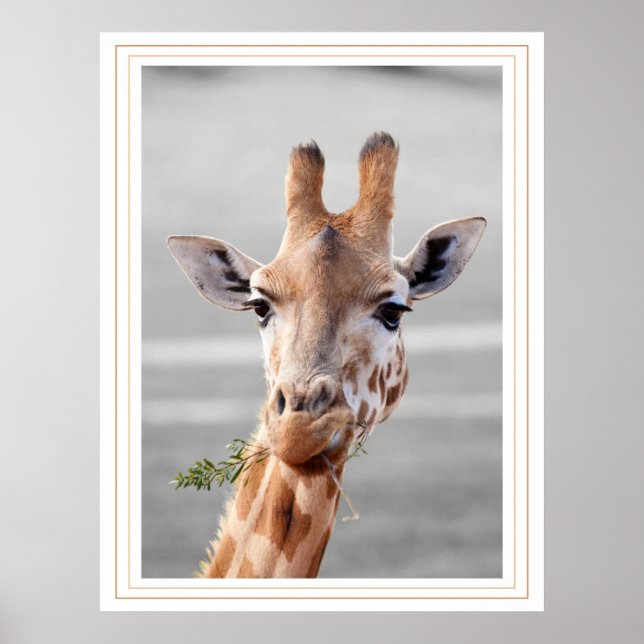 Been Spotted Poster (Front)