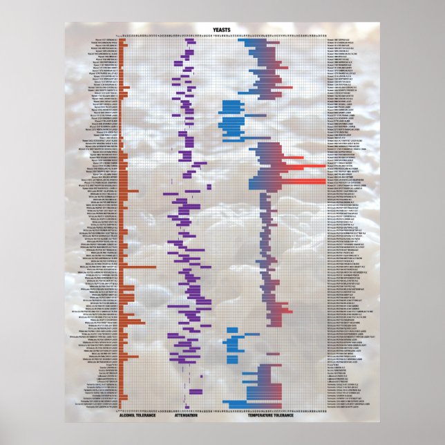 Beer By The Numbers - Yeast Poster (Front)