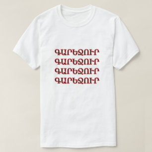 Beer in Armenian Գարեջուր T-Shirt