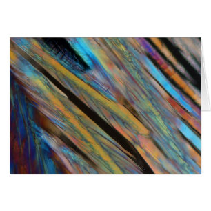 Beer under the microscope