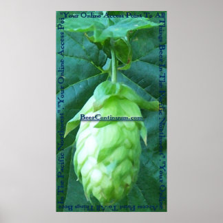 BeerContinuum poster