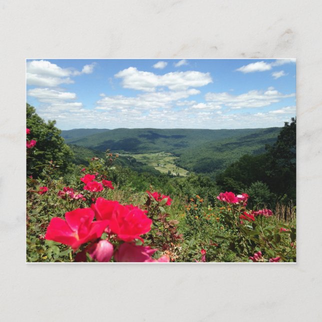 Beersheba Springs Postcard (Front)