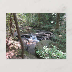 Beersheba Springs Postcard