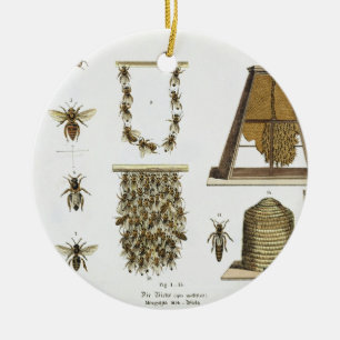 Bees and bee-keeping, from 'The Young Landsman', p Ceramic Tree Decoration