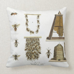 Bees and bee-keeping, from 'The Young Landsman', p Cushion