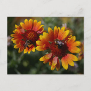 Bees and Orange Flowers Postcard