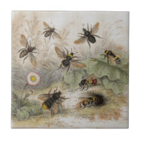 Bees Antique Lithograph print tile
