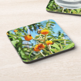 Bees at Work  Coaster