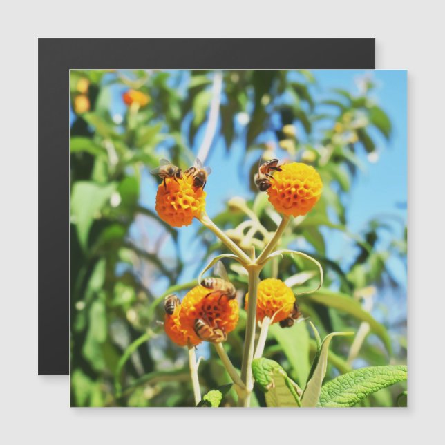 Bees at Work Magnetic Card (Front/Back)
