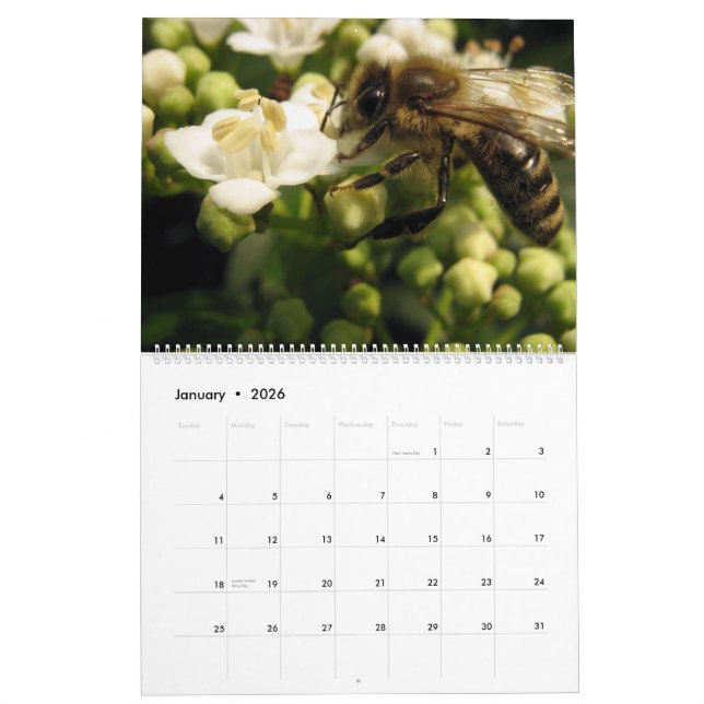 Bees Calendar (Jan 2026)