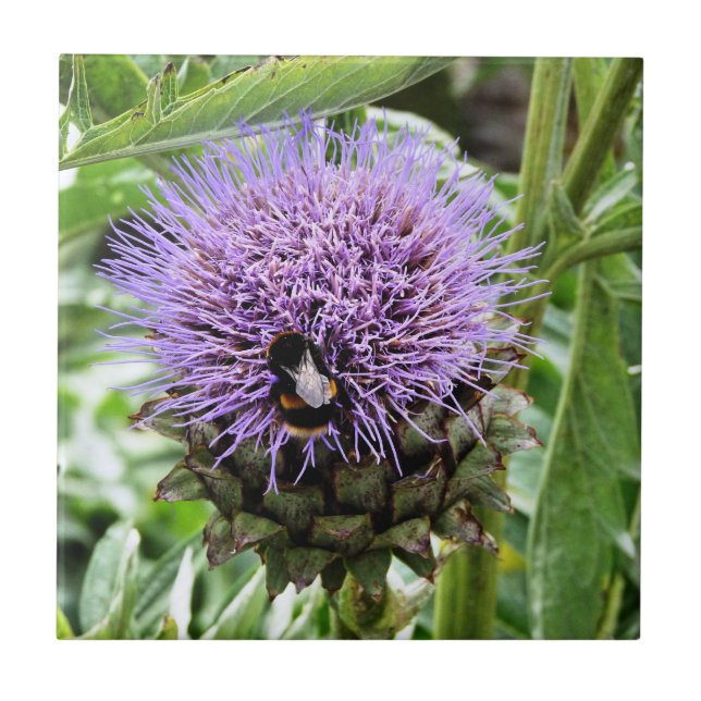 BEES  CERAMIC TILE (Front)