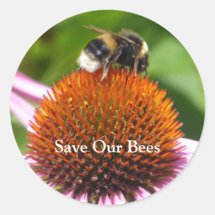 BEES   CLASSIC ROUND STICKER