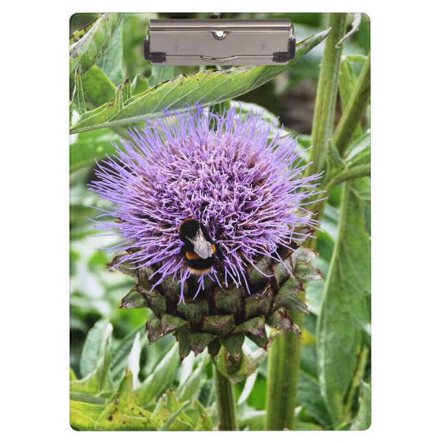 BEES CLIPBOARD (Front)